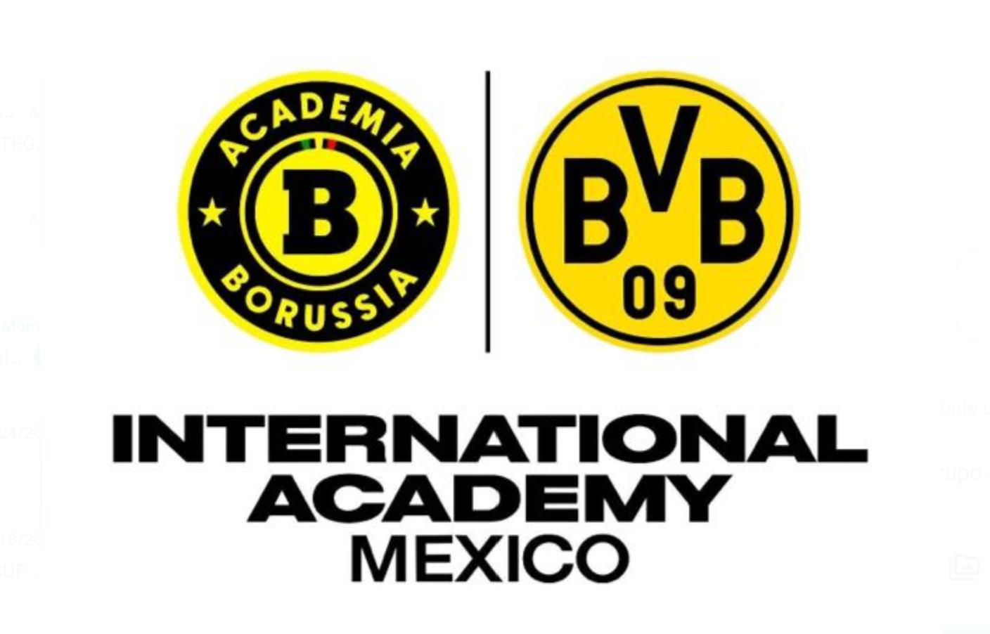 Academia Borussia Metepec